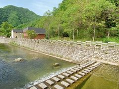 -牛背梁国家森林公园
