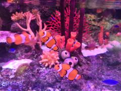 -沈阳海洋探索中心