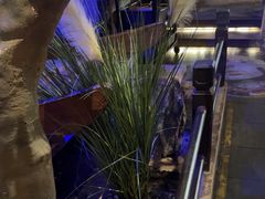 -绿茶餐厅(燕郊永旺店)