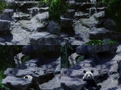 -宁波野生动物园