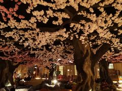 -蓝鲸湾汤泉(包河店)