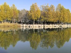 -大兴滨河森林公园