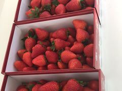 -心乐生活新鲜屋(星海广场店)