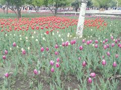 -长春公园(普阳街道)