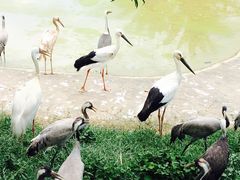 -泉州海丝野生动物世界