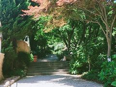 -石老人观光园