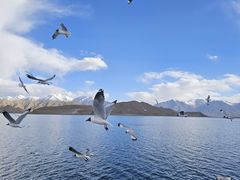 -班公湖