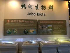 -辽宁古生物博物馆