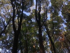 -中华贤母园-陶渊明纪念馆