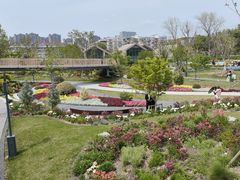 -上海植物园-4号门售票处