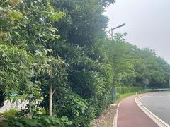 -平湖九龙山旅游度假区