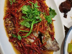 -杨氏青龙虾·羊蝎子(珠江路店)