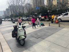 -武汉园博园(武汉自然博物馆)