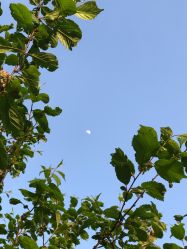 点击看大图 -素简女子塑形·健身普拉提