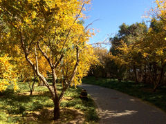 iphone_upload_pic-德胜公园
