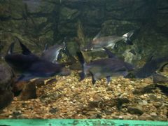 -常州海昌海洋探索馆