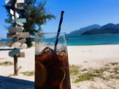 -花海间·即刻露营