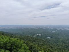 -紫金山山顶公园