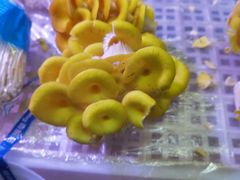 -五里多农博广场