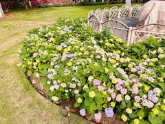 -常州古运河南大街文化旅游区-人民公园