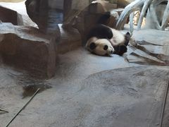 -宁波野生动物园