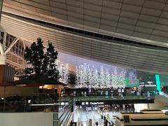 -TIAT DUTY FREE SHOP NORTH(羽田机场店)