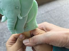-杭州野生动物世界