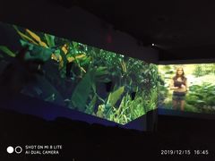 -CGV影城(蓬江IMAX店)