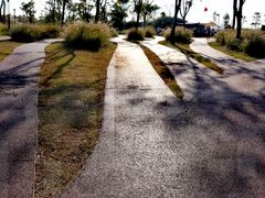 -春花秋色城市公园