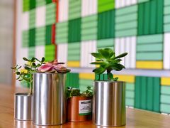 -Green Option(官舍店)