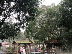 -青城甲(青城山店)