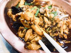 香辣牛蛙-晓林火锅(安定门店)
