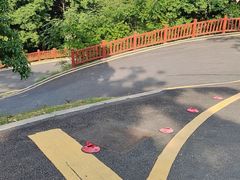 -黄埔油麻山森林公园