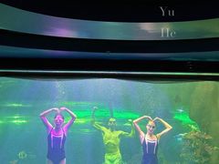 -大明湖海底世界