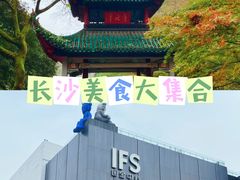 -橘子洲景区