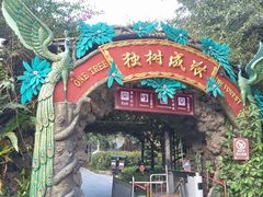 -瑞丽独树成林风景区