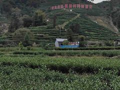 -九鲤溪瀑景区