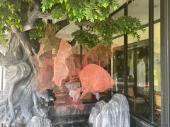 -院里寻菜·精致庭院菜(观沙岭店)