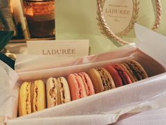 -Pierre Marcolini(德基广场店)