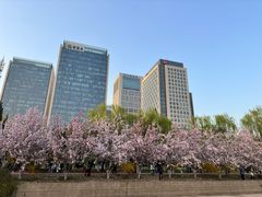 -元大都城垣遗址公园