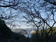 -广州市流溪河国家森林公园