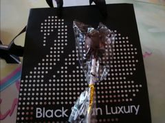 包装袋-BLACKSWAN黑天鹅(环球店)