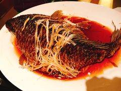 罾蹦鲤鱼-津菜典藏河西店(水上店)