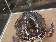 -天津古林古海岸遗迹博物馆