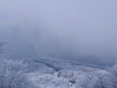 -安吉龙王山风景区