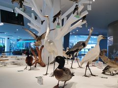 -漩门湾国家湿地公园