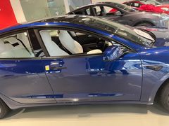 -TESLA 特斯拉(深圳观澜特斯拉直营钣喷中心)