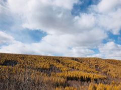 -塞罕坝国家级自然保护区