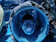 -厦门海底世界