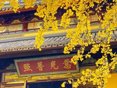 -西园戒幢律寺